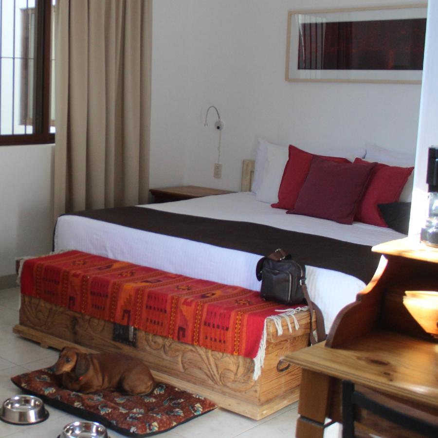 La Cochinilla Hotel Boutique Oaxaca Exteriör bild