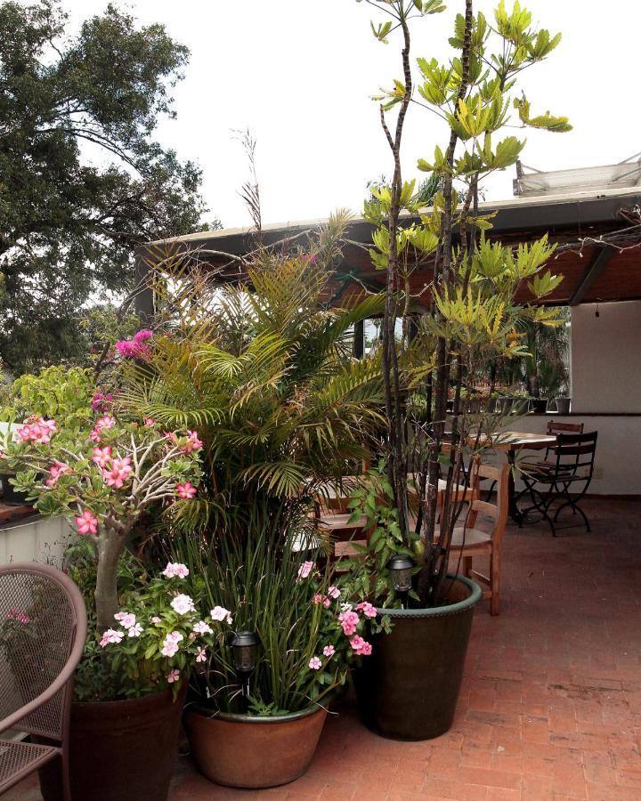 La Cochinilla Hotel Boutique Oaxaca Exteriör bild